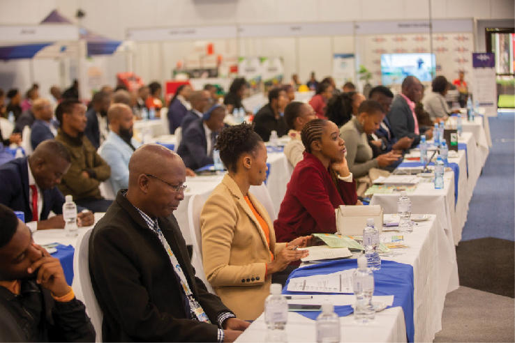 Botswana transport and energy summit